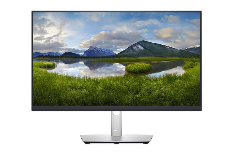 Dell P2422H 23,8″ IPS 16:9 Monitor